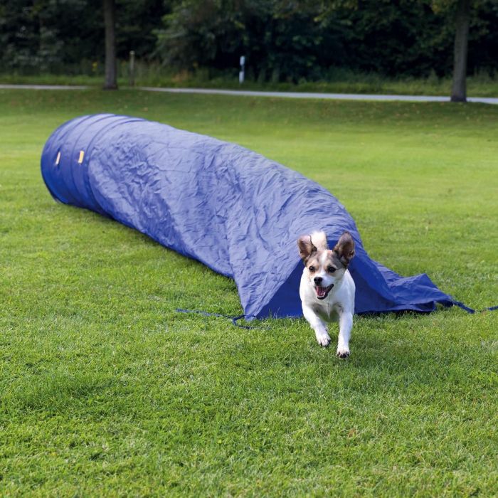 Topmast Agility Bag Tunnel