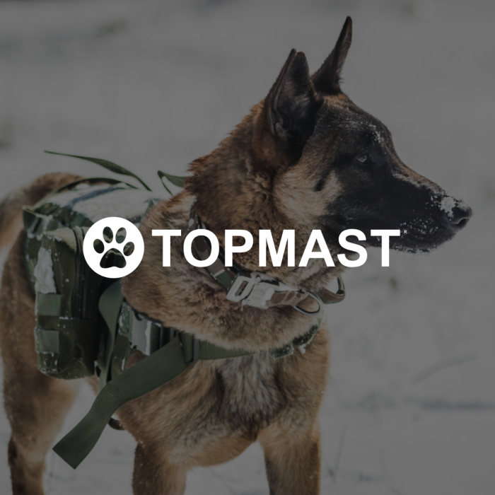 Topmast Camouflage Hundehalsband - einstellbar