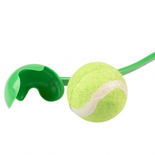 Duvoplus Tennisballwerfer - grün - shoppixstore76Duvoplus Tennisballwerfer - grünshoppixstore76shoppixstore7614707-EBIDuvoplus Tennisballwerfer - grün40cm5414365424688
