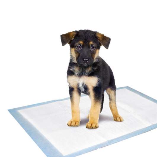 Karlie Flamingo Puppy Pads - Trainingsmatten - shoppixstore76Karlie Flamingo Puppy Pads - Trainingsmattenshoppixstore76shoppixstore761031319Karlie Flamingo Puppy Pads - Trainingsmatten35 x 45 cm / 10 Stk4016598005910