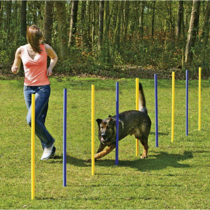 Topmast Agility Slalom, Satz mit 6 Stangen