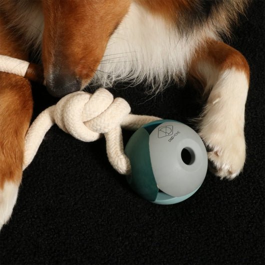 D&D Hundespielzeug Nora - lagoon - shoppixstore76D&D Hundespielzeug Nora - lagoonshoppixstore76shoppixstore76309-479940-EBID&D Hundespielzeug Nora - lagoon4047059479940