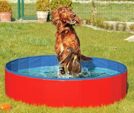 Karlie Doggy Pool - der Swimmingpool für Hunde - shoppixstore76Karlie Doggy Pool - der Swimmingpool für Hundeshoppixstore76shoppixstore7631886Karlie Doggy Pool - der Swimmingpool für Hunde80 cmRot-Blau4016598318867