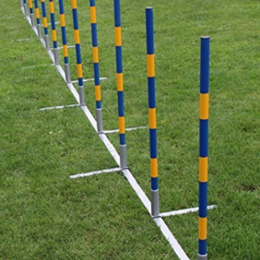 Topmast professionelles Agility Slalom Set mit 12 Stangen