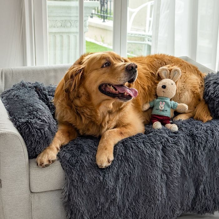 TOPMAST HUNDEMATTE COMFY - flauschiges Plüsch-Hundebett - Größe M - 90 x 80 cm - shoppixstore76TOPMAST HUNDEMATTE COMFY - flauschiges Plüsch-Hundebett - Größe M - 90 x 80 cmHundeshoppixstore76shoppixstore7636-9080-16ATOPMAST HUNDEMATTE COMFY - flauschiges Plüsch-Hundebett - Größe M - 90 x 80 cmAnthrazit8720847072504
